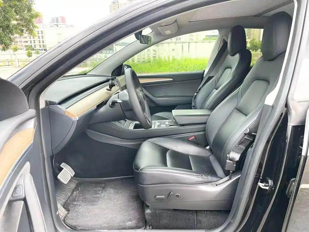 Tesla Model Y — миниатюра 4