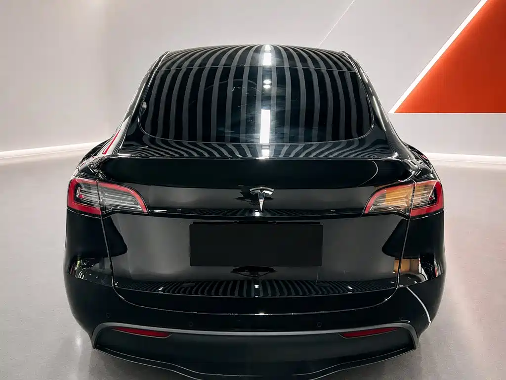 Tesla Model Y — миниатюра 5
