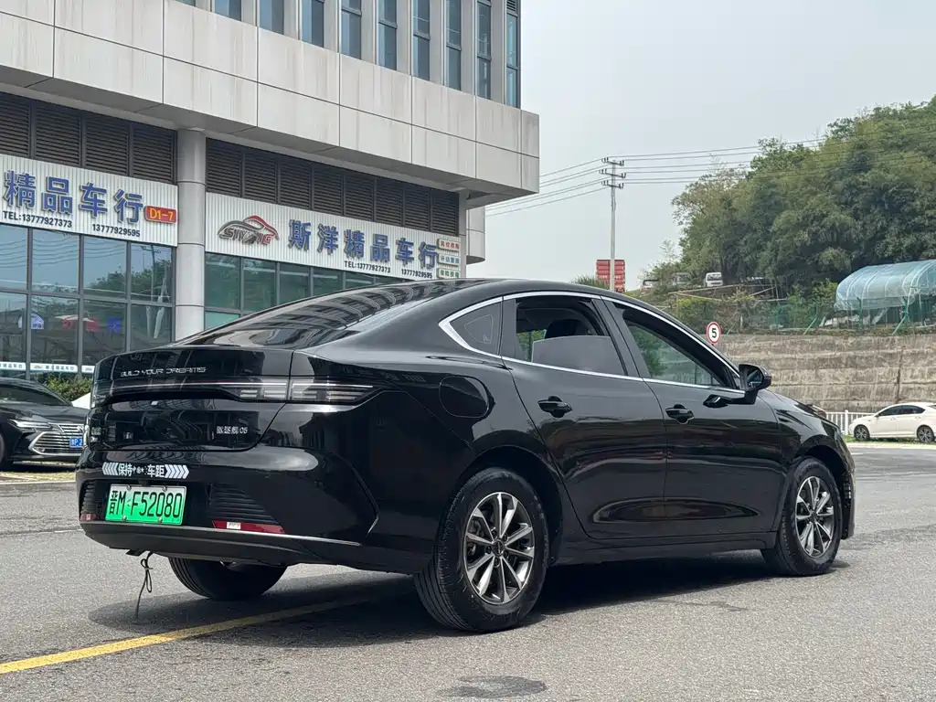 BYD Destroyer 05 2023 Champion DM-i 55KM Luxury
