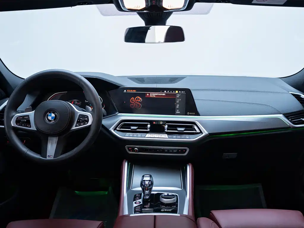 BMW X6 — миниатюра 13