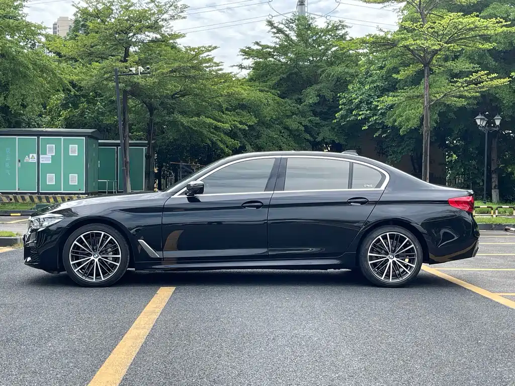 BMW 5 Series 5 2020 530Li Premium M Sport