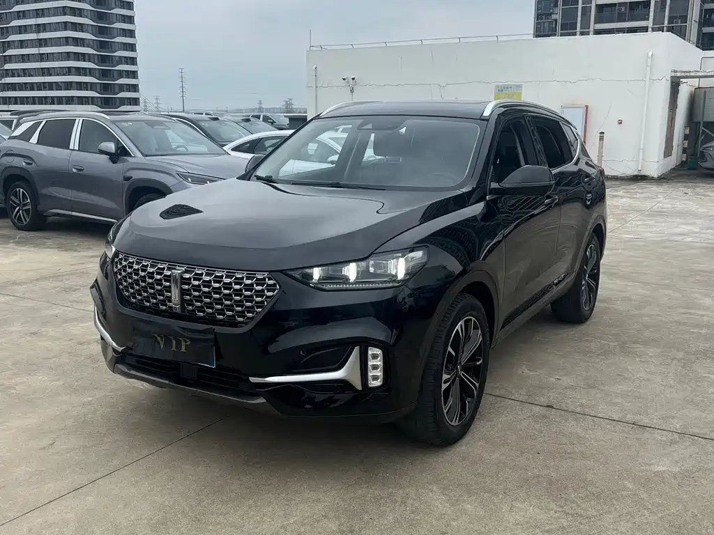 Wey Wey VV6