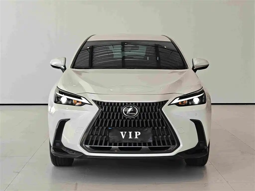 Lexus NX — миниатюра 3