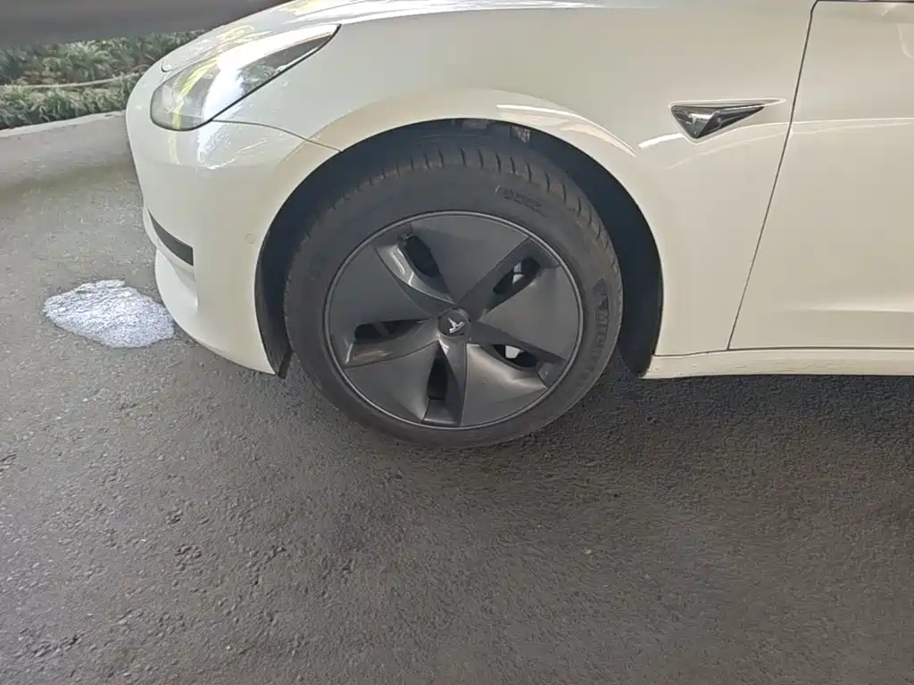 Tesla Model 3 — миниатюра 23