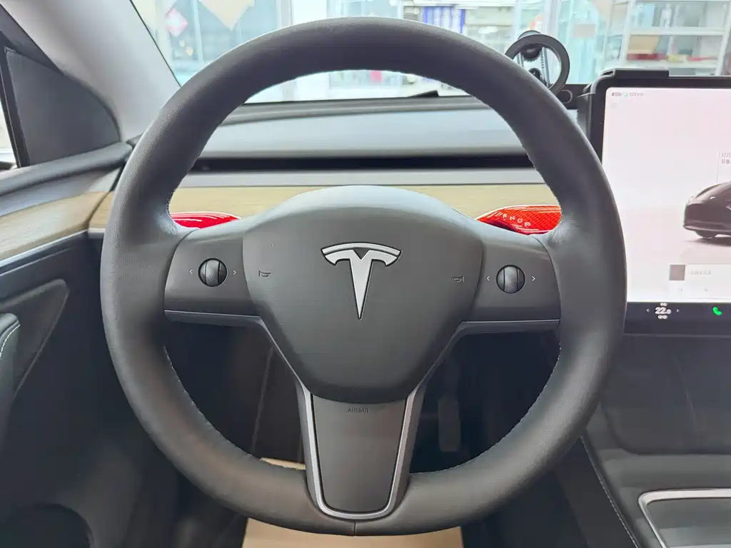 Tesla Model Y — миниатюра 12