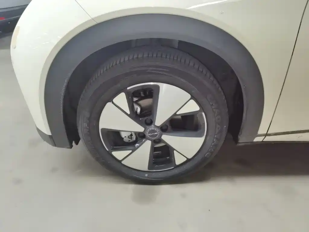 BYD Dolphin — миниатюра 23
