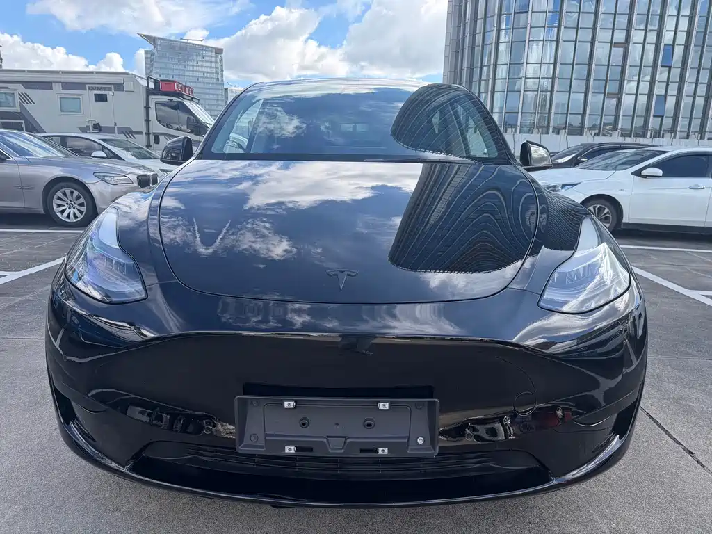 Tesla Model Y — миниатюра 2