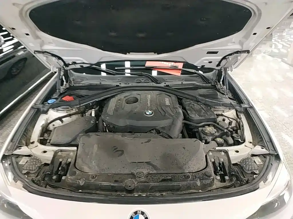 BMW 3 Series GT — миниатюра 20