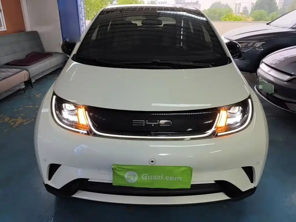 BYD Dolphin — миниатюра 3