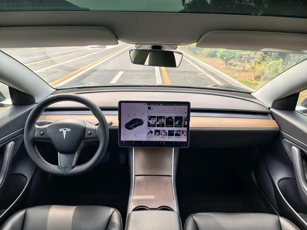 Tesla Model 3 — миниатюра 6