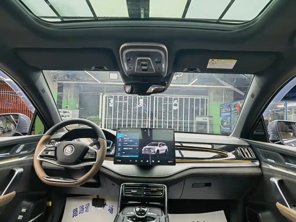 BYD Tang New Energy — миниатюра 7