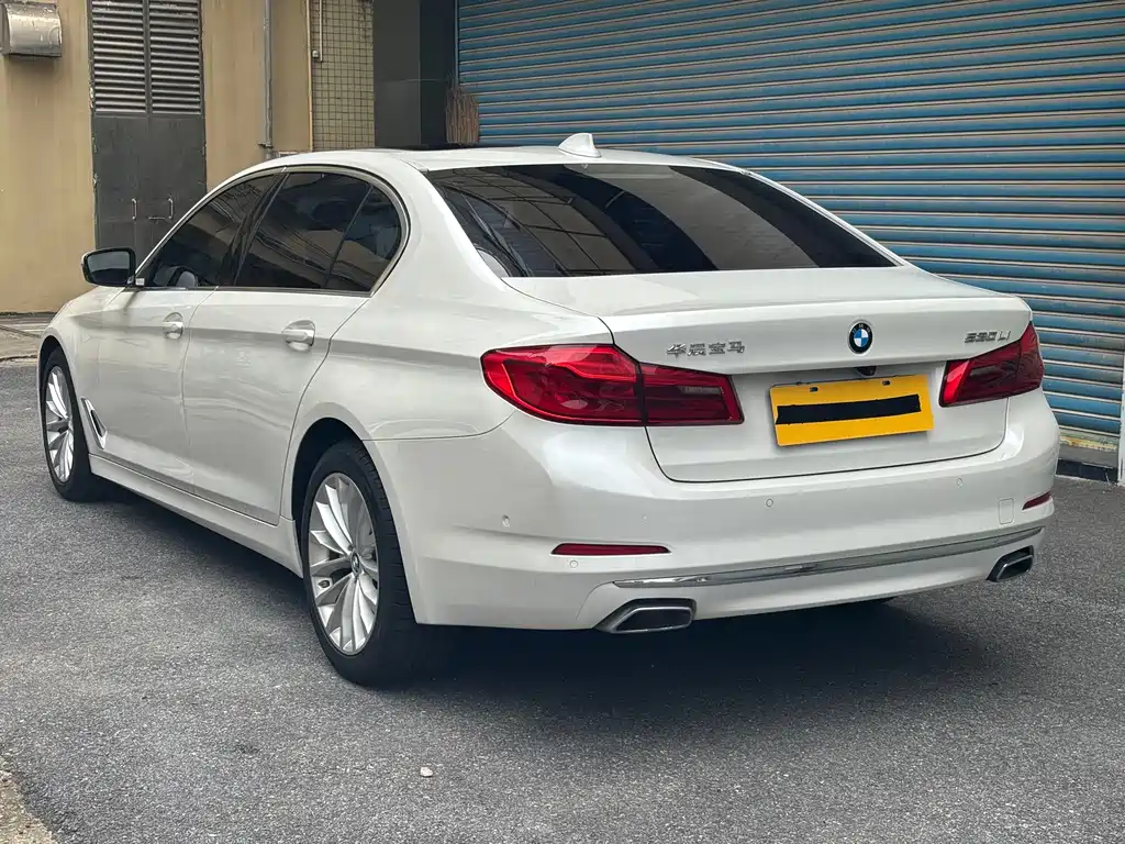 BMW 5 Series 5 2020 530Li Lead Luxury
