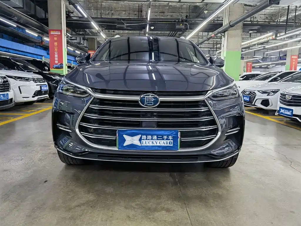 BYD Tang New Energy — миниатюра 2