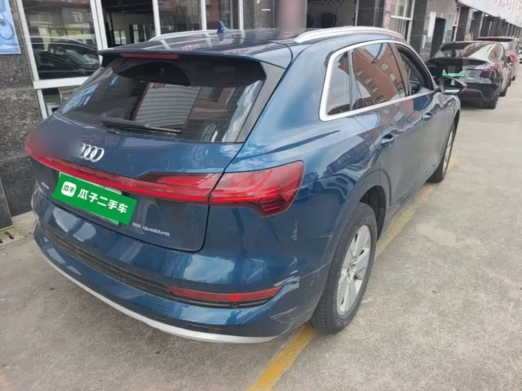 Audi e-tron (Import) — миниатюра 7