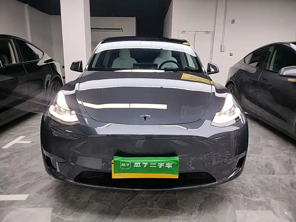 Tesla Model Y — миниатюра 3