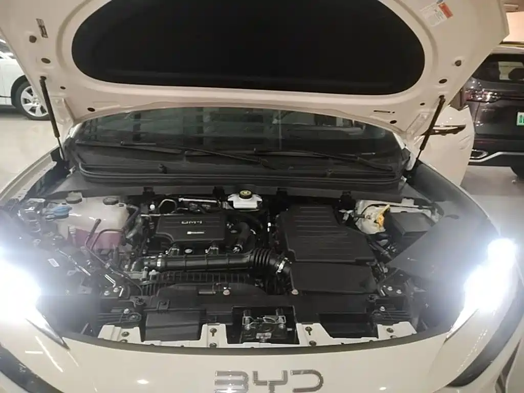 BYD Haisi 06 — миниатюра 20