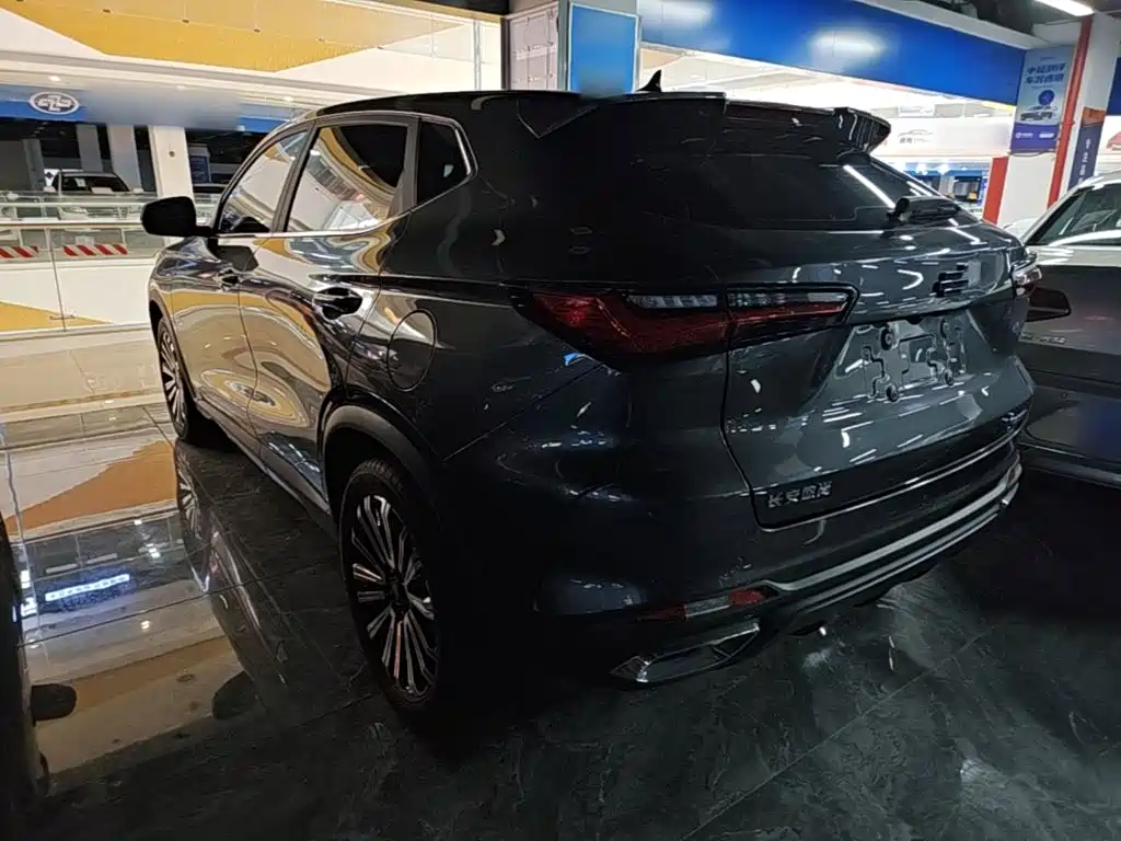 Oshan Oushang X5 — миниатюра 5