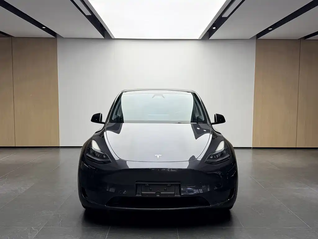 Tesla Model Y — миниатюра 2