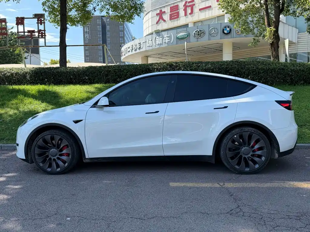 Tesla Model Y — миниатюра 3