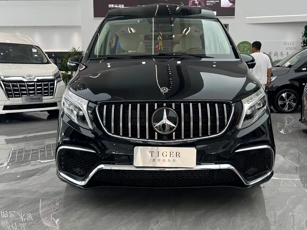 Mercedes-Benz V-Class V 2018 V 260 L Luxury Long Wheelbase VI