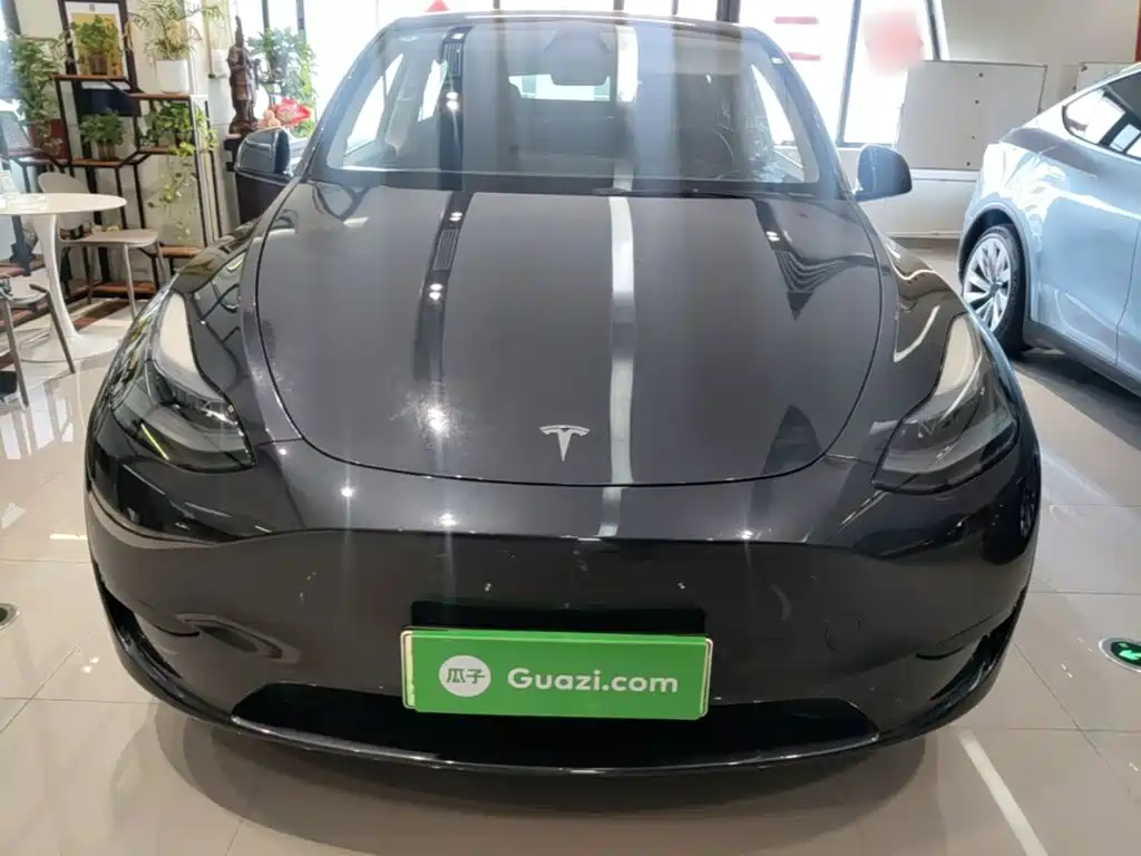 Tesla Model Y — миниатюра 3