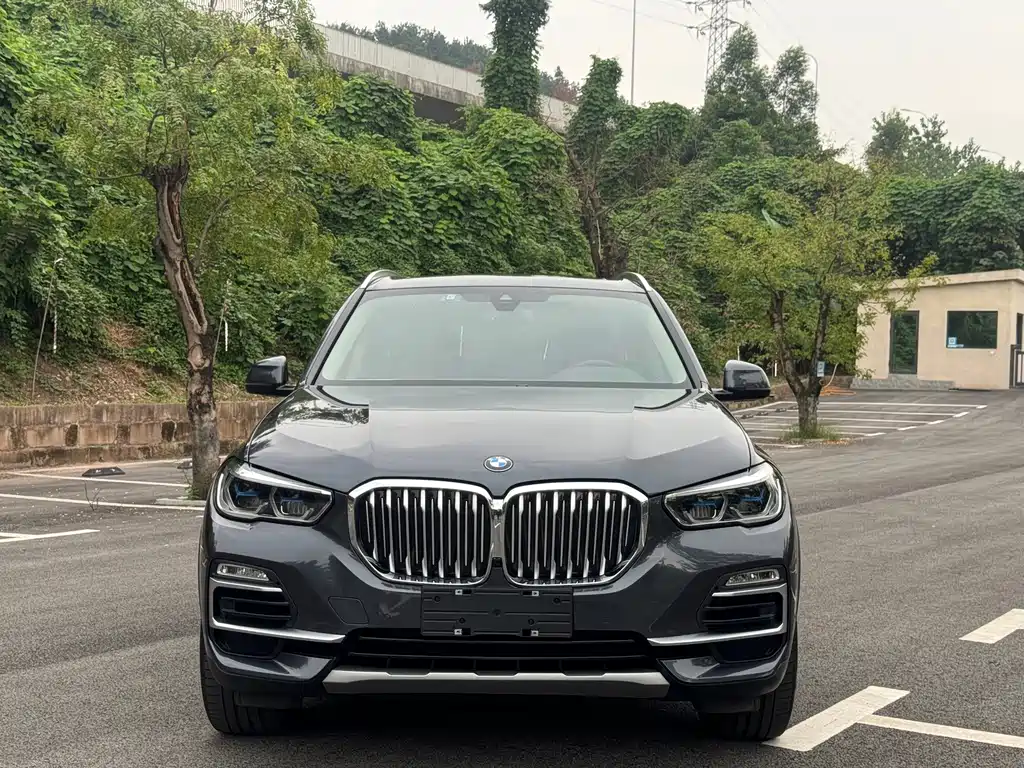 BMW X5 (Import) — миниатюра 3