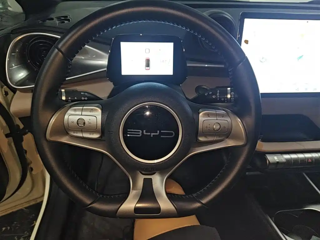 BYD Dolphin — миниатюра 11