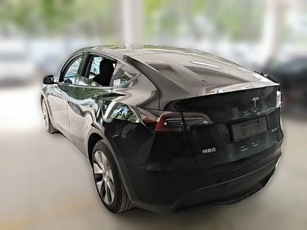 Tesla Model Y — миниатюра 7