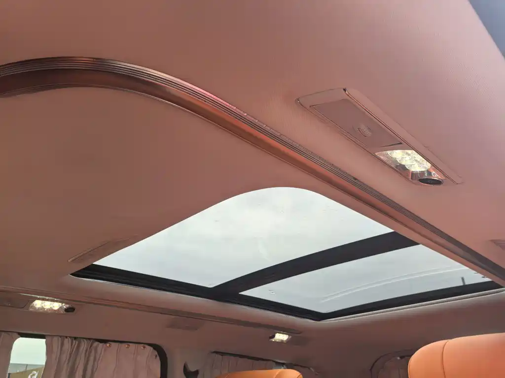 SAIC MAXUS CHASE G20