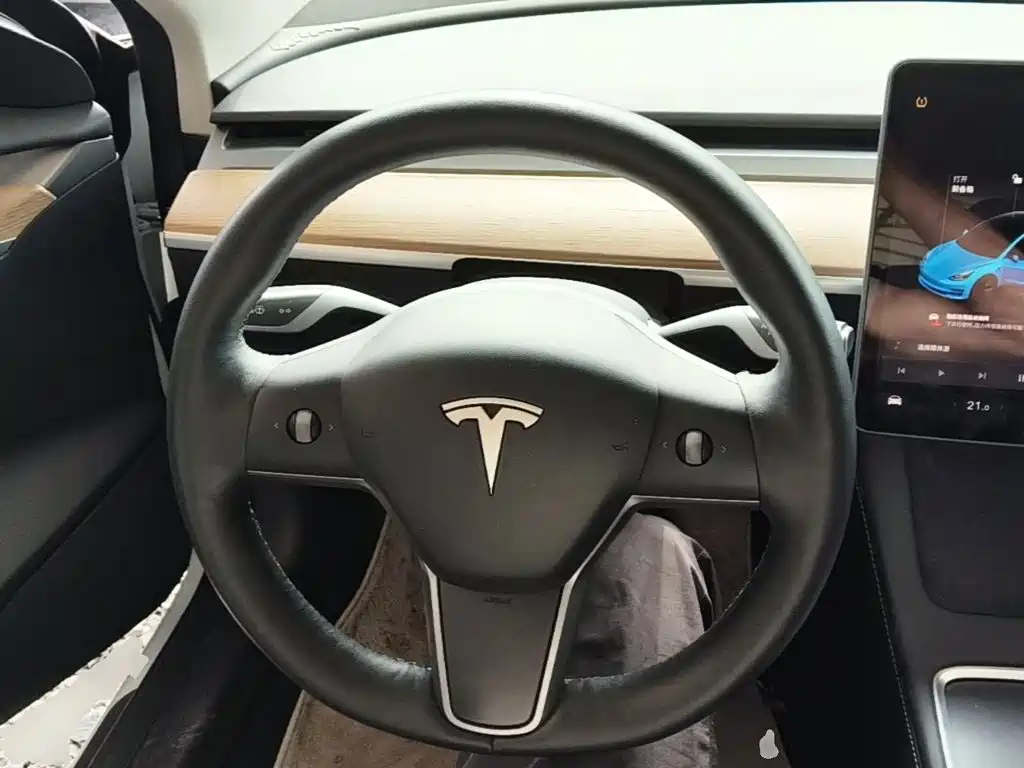 Tesla Model 3 — миниатюра 11