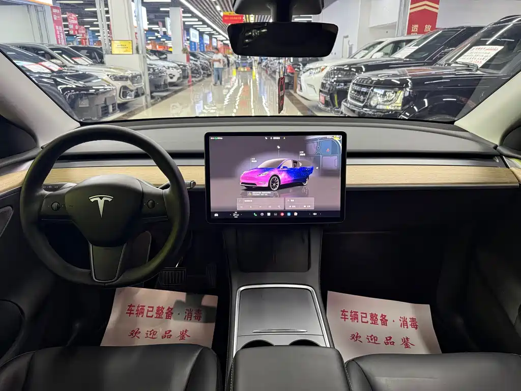 Tesla Model Y — миниатюра 6
