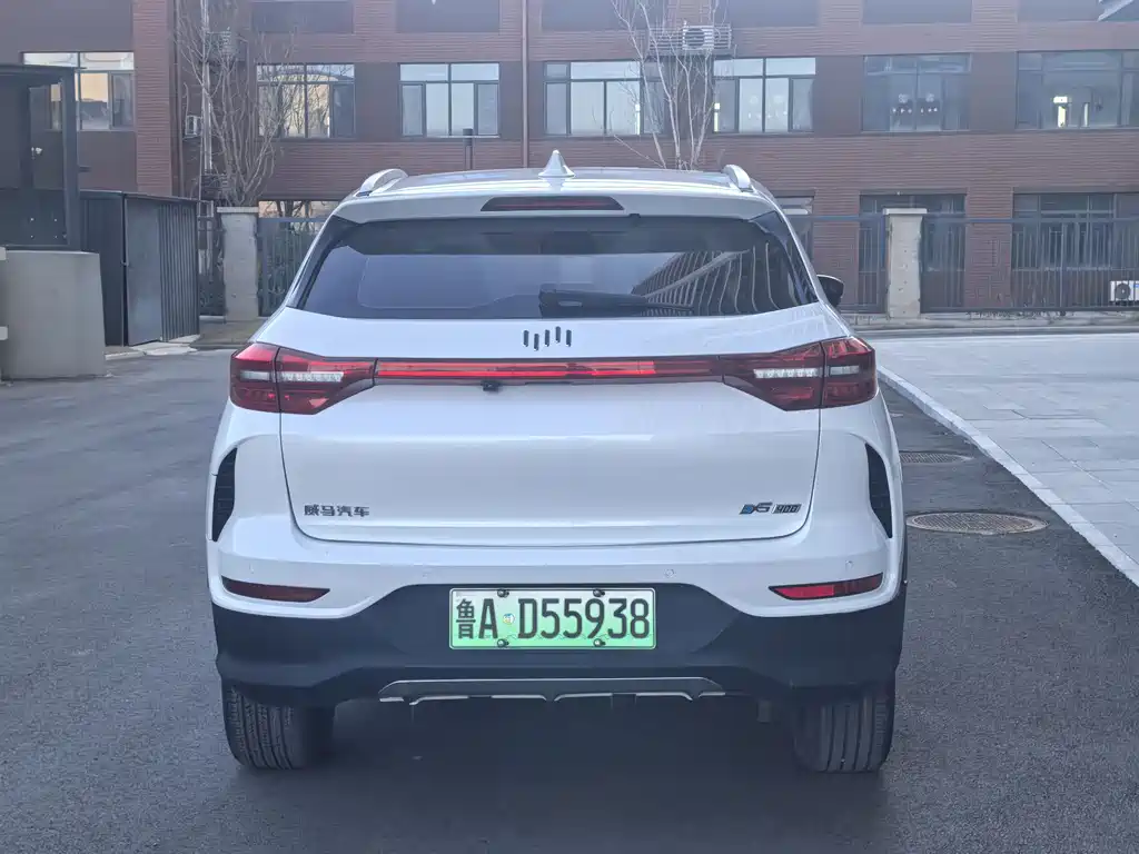 Weltmeister WEIMA EX5