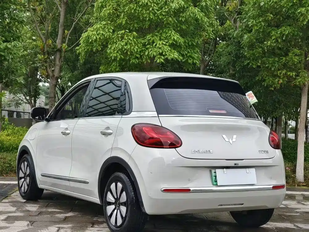 Wuling Binguo 2023 333km Enjoy