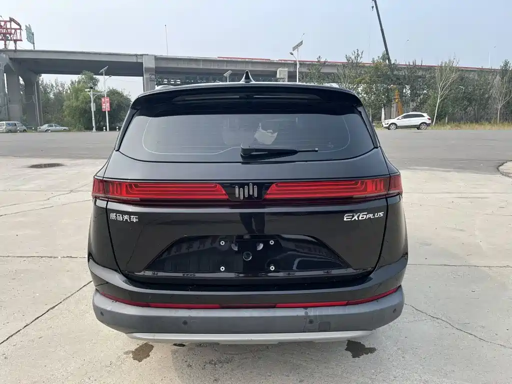 WM Motor EX6 — миниатюра 7