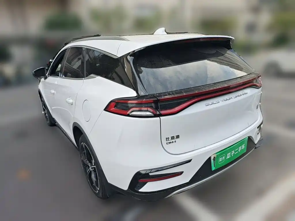 BYD Tang New Energy — миниатюра 25