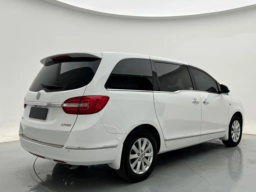 Buick GL8 — миниатюра 6