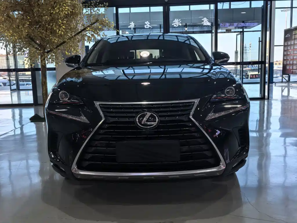 Lexus NX — миниатюра 2