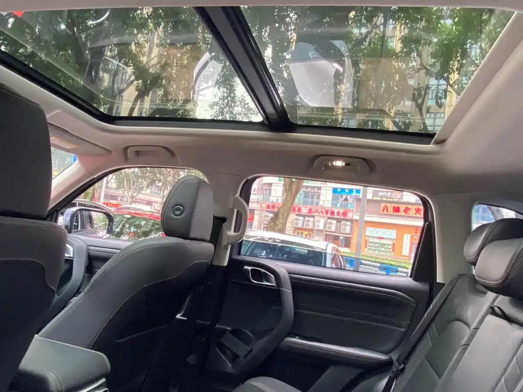 Haval Big Dog — миниатюра 12
