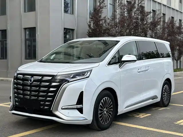 2024 Denza D9