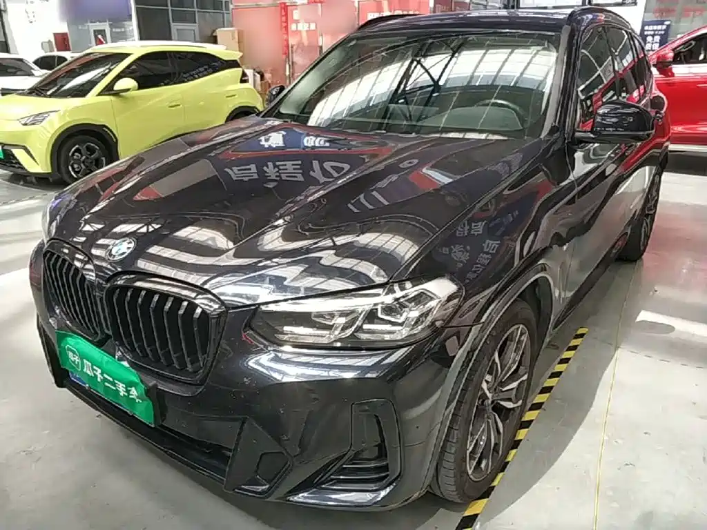 BMW X3 — миниатюра 2