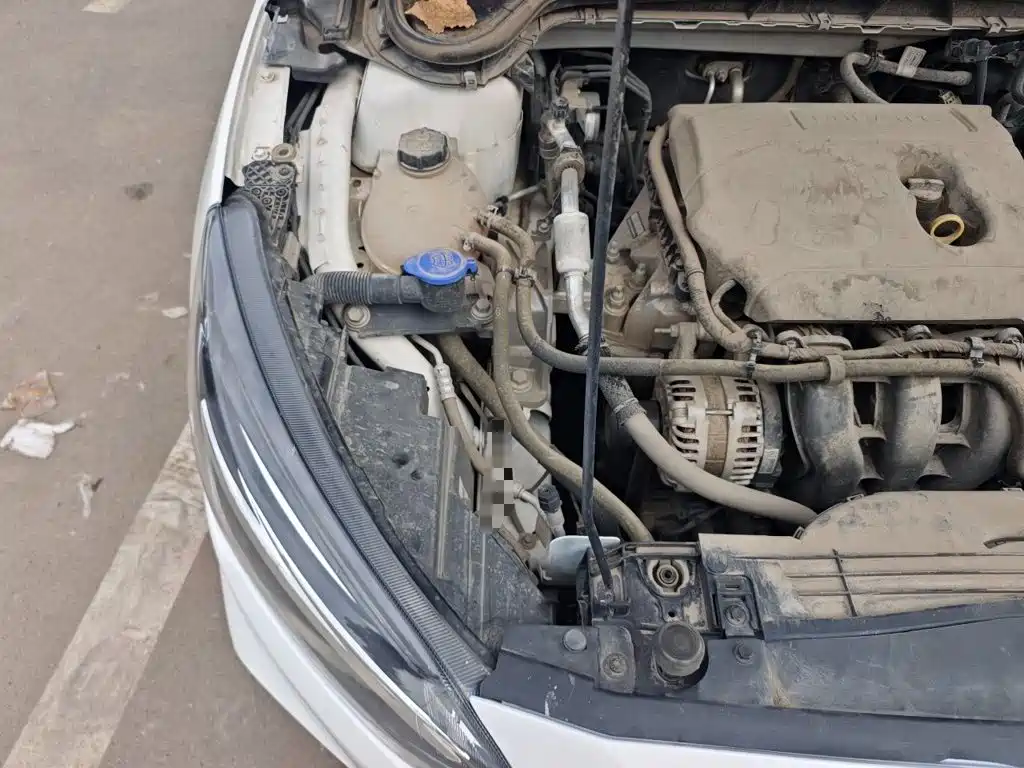 Ford Focus — миниатюра 19