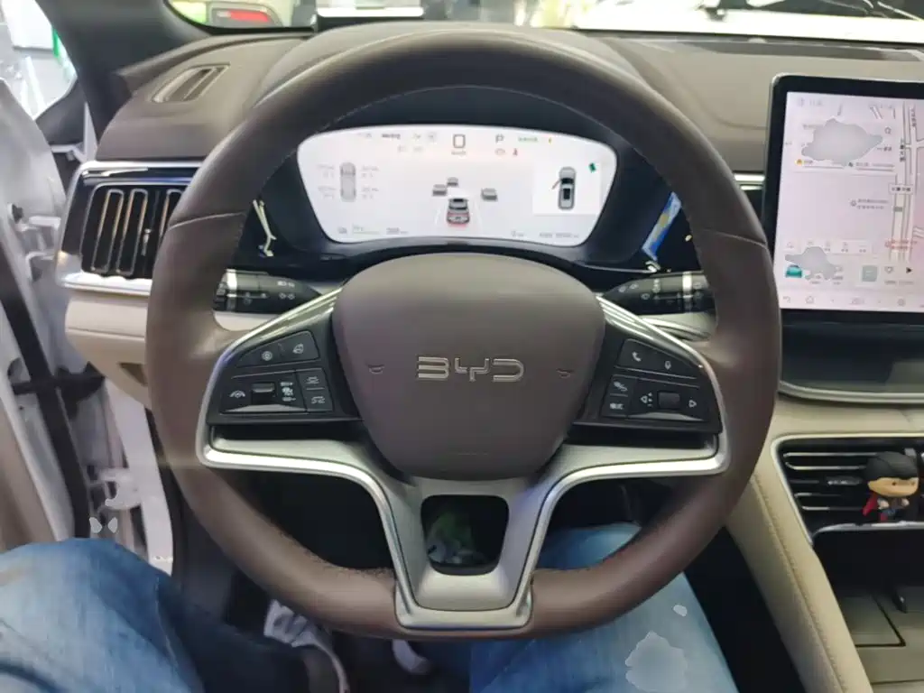 BYD PLUS New Energy — миниатюра 11