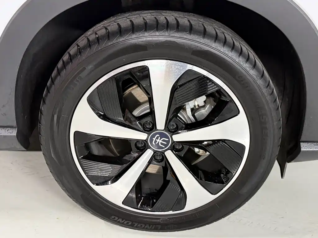 BYD PLUS New Energy — миниатюра 26