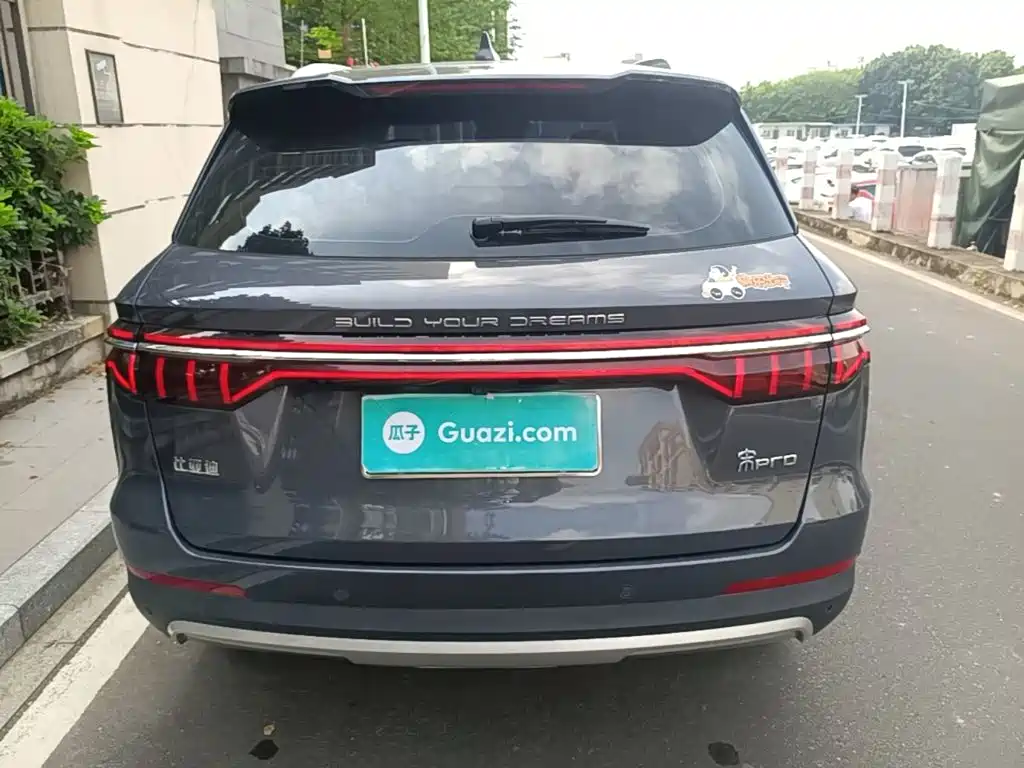 BYD Pro — миниатюра 6