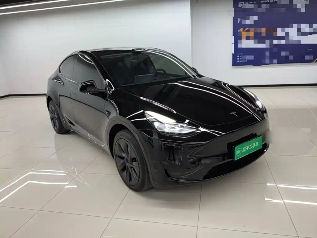 Tesla Model Y — миниатюра 4