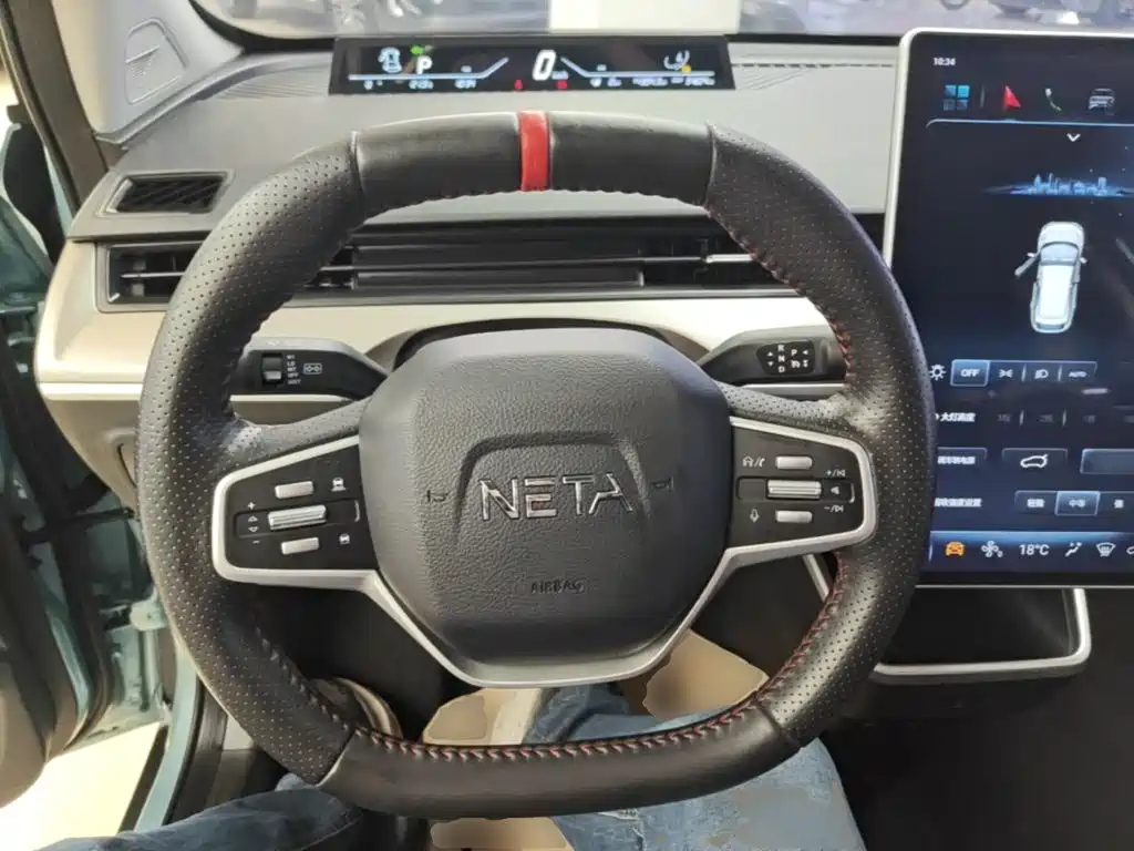 Neta Neta V — миниатюра 11