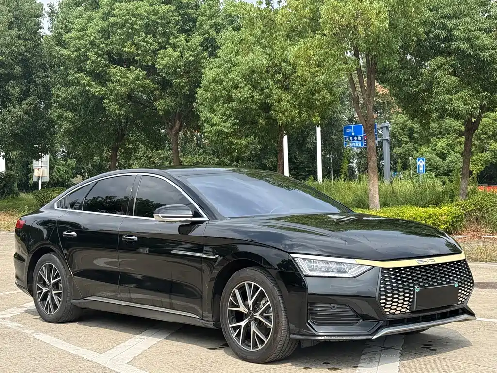 BYD e9 — миниатюра 3