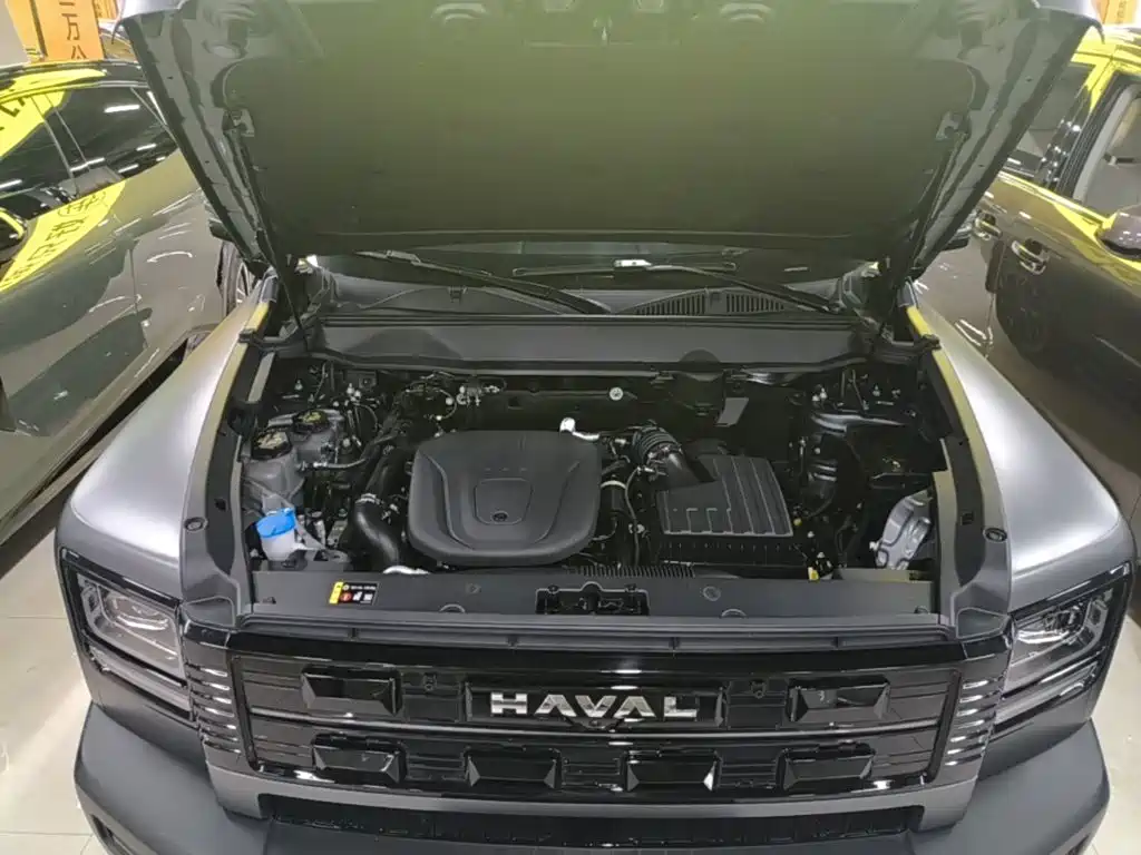 Haval Menglong New Energy — миниатюра 20