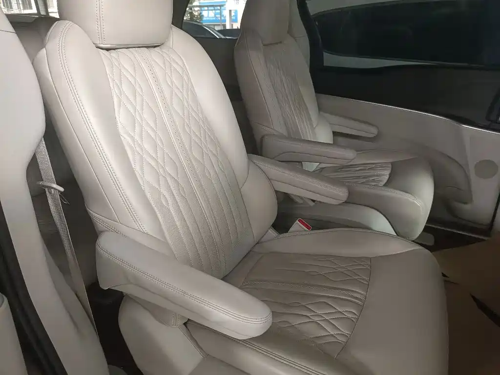 Buick GL8 — миниатюра 12