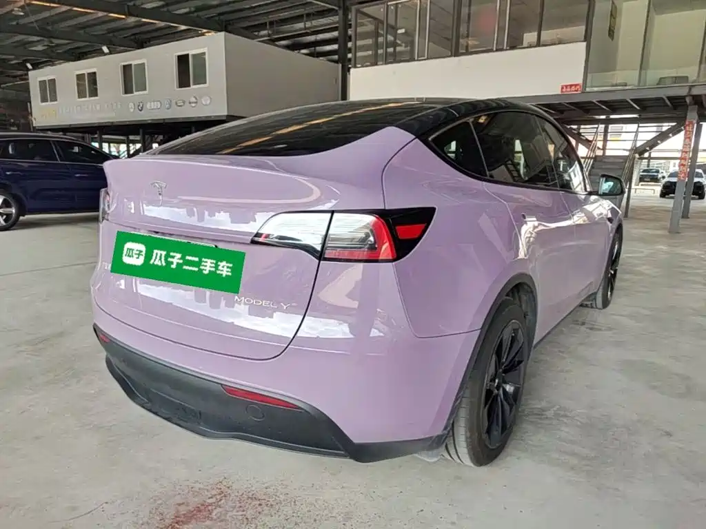Tesla Model Y — миниатюра 7